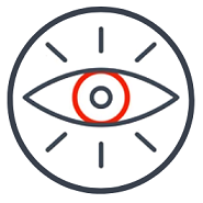 Vision